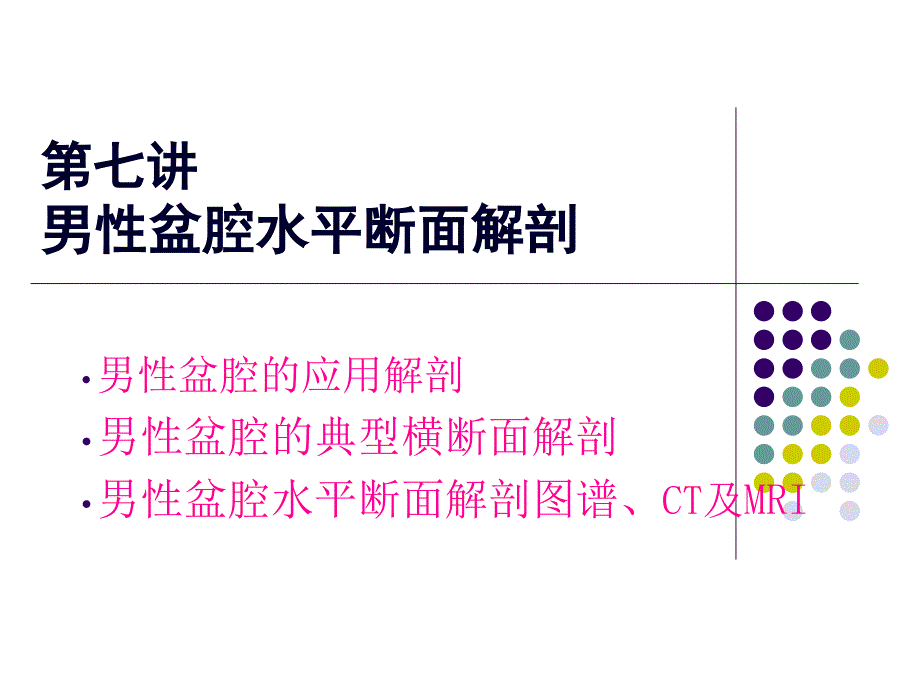 斷面--盆腔男課件_第1頁(yè)