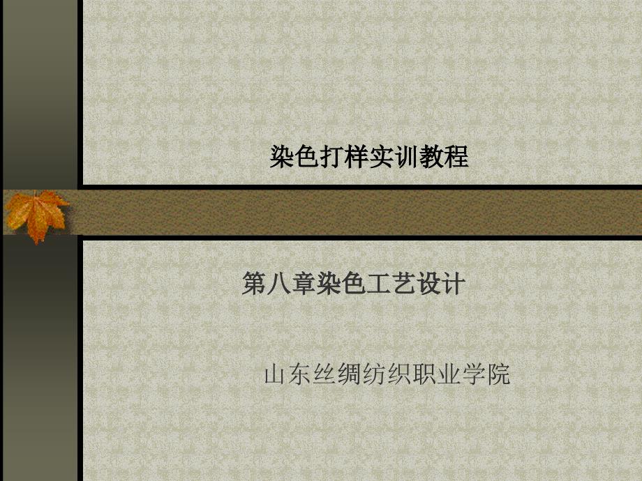 第八章 染色工艺设计演示文稿_第1页