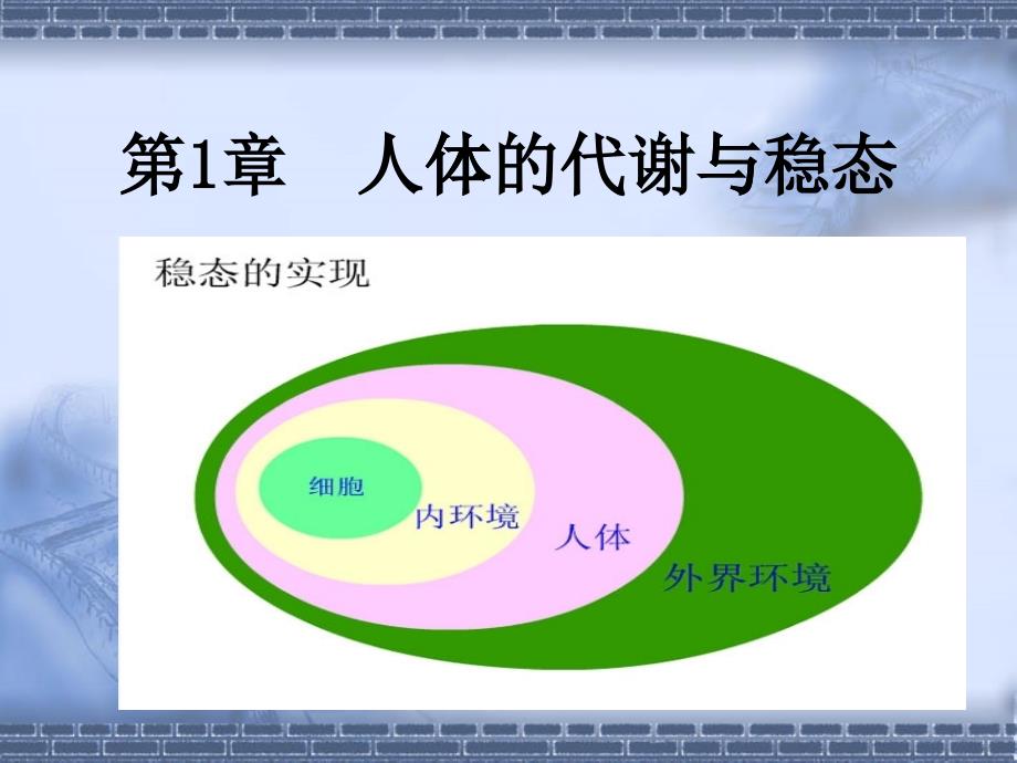 第二章第一节人体的代谢与稳态一内环境与稳态_第1页