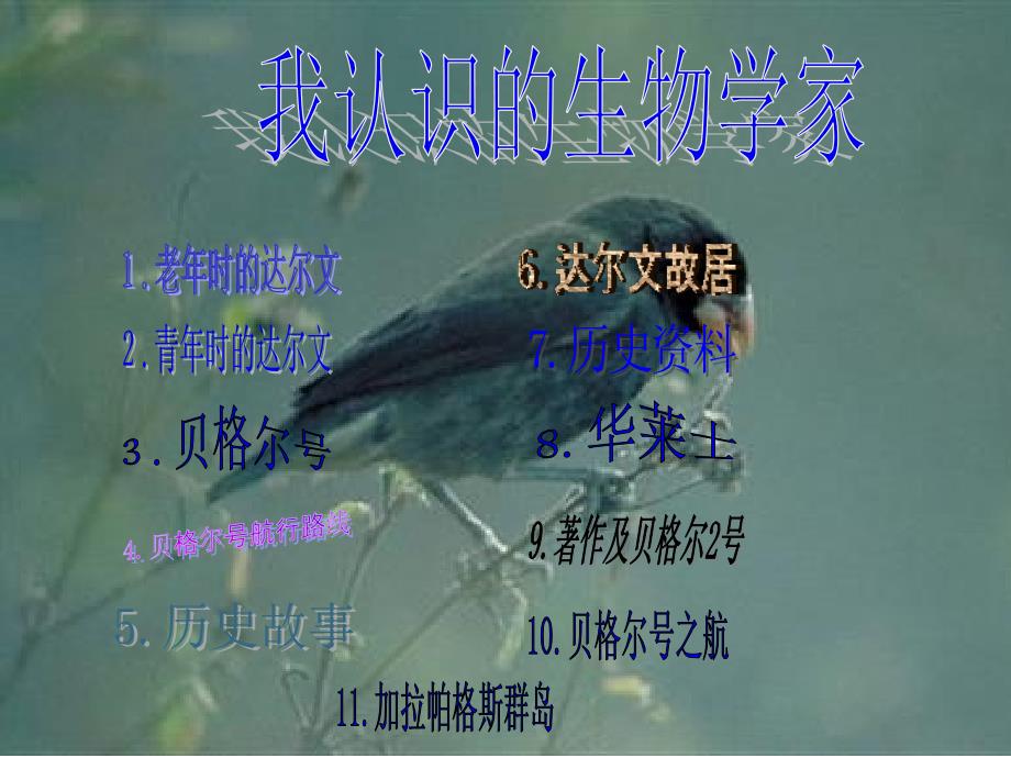 我认识的生物学家_第1页