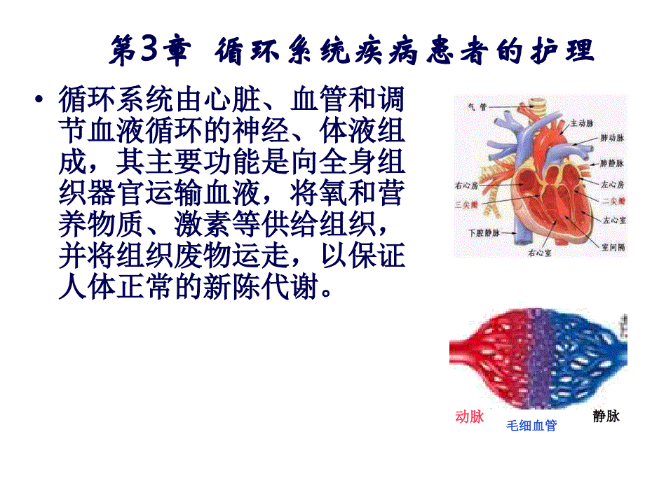 循环系统常见症状2课件_第1页