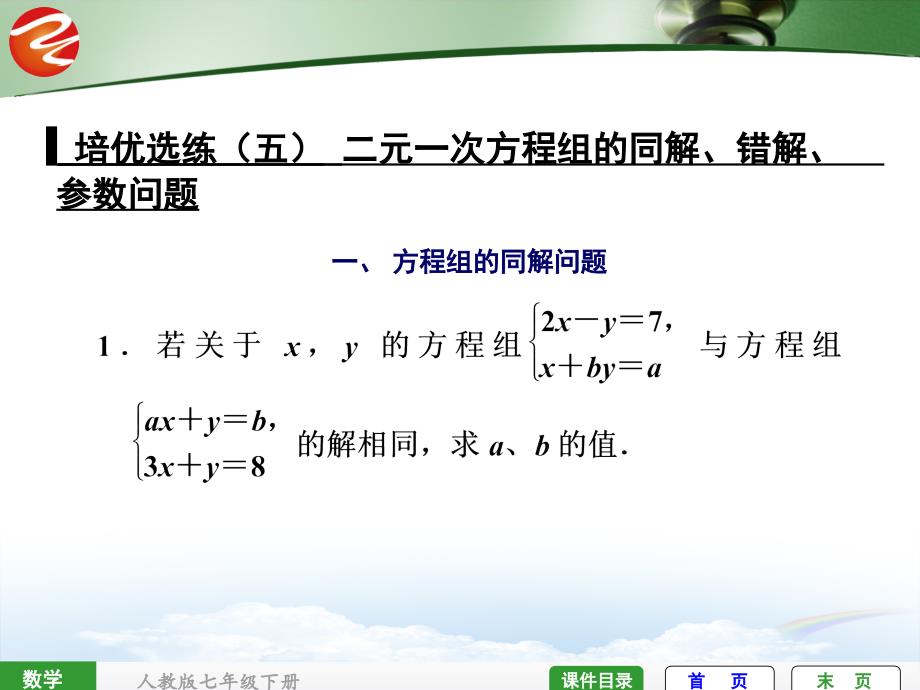 培优选练(五)-二元一次方程组的同解、错解、参数问题课件_第1页