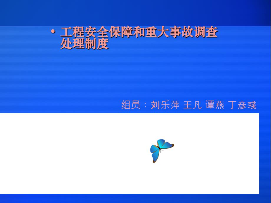 工程安全保障和重大事故调查处理制度_第1页