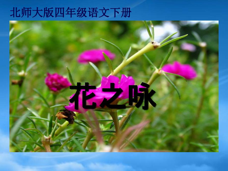 四年级语文下册 花之咏2课件 北师大_第1页