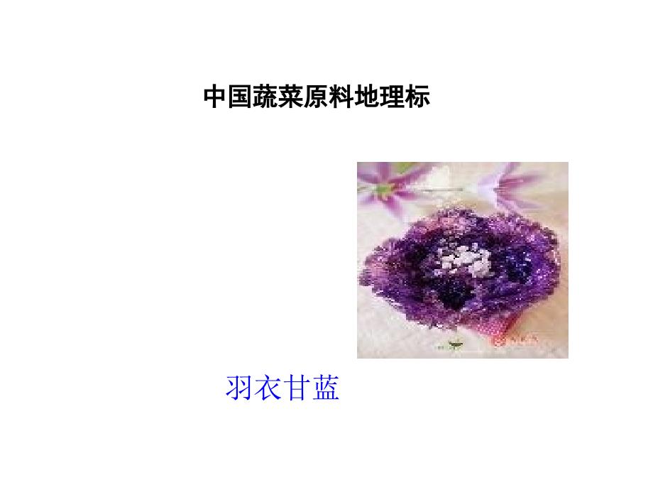 蔬菜类-羽衣甘蓝(精品)_第1页