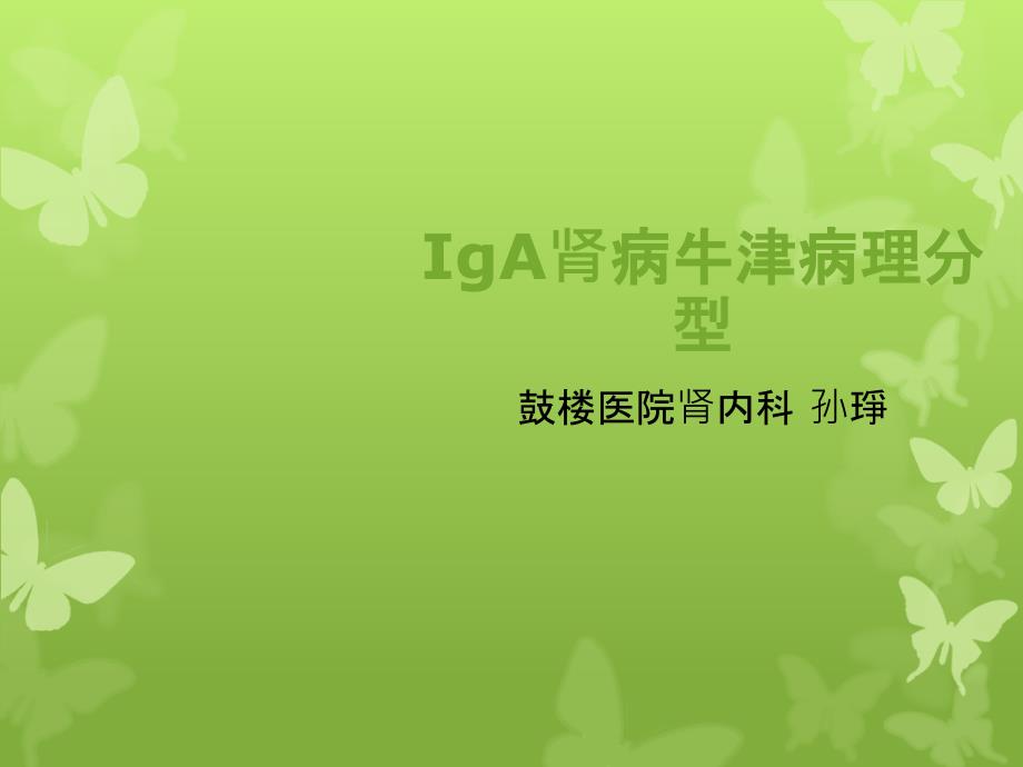 IgA腎病牛津分型_第1頁