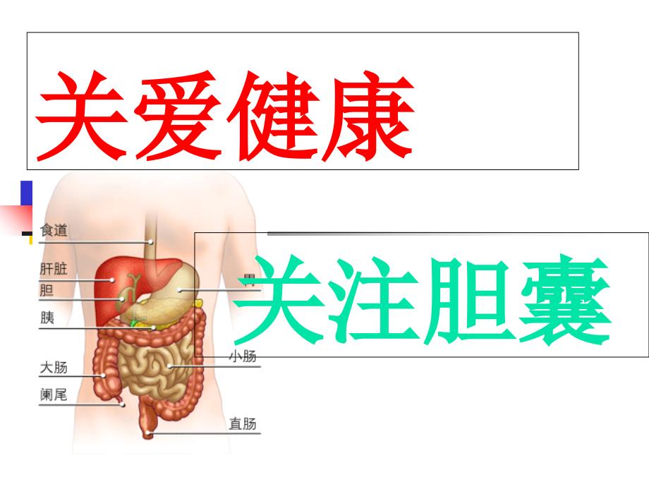 关注胆囊饮食指导_第1页