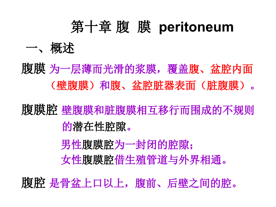 腹膜peritoneum一概述_第1页