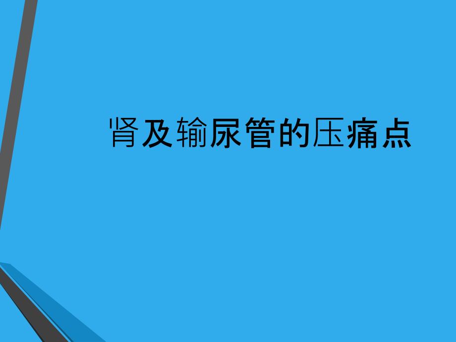 肾及输尿管压痛点_第1页