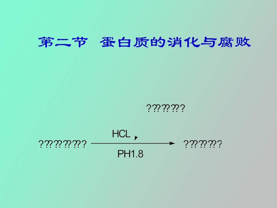 蛋白质的消化与腐败_第1页