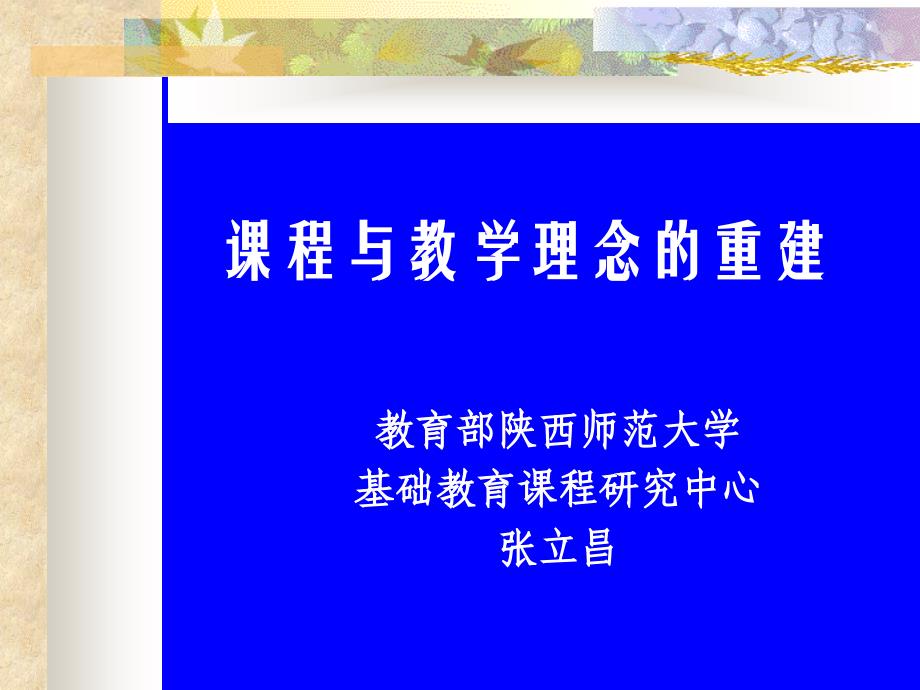 课程与教学的理念重建_第1页