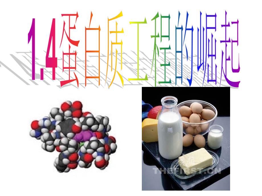 蛋白质工程的崛起ppt_第1页