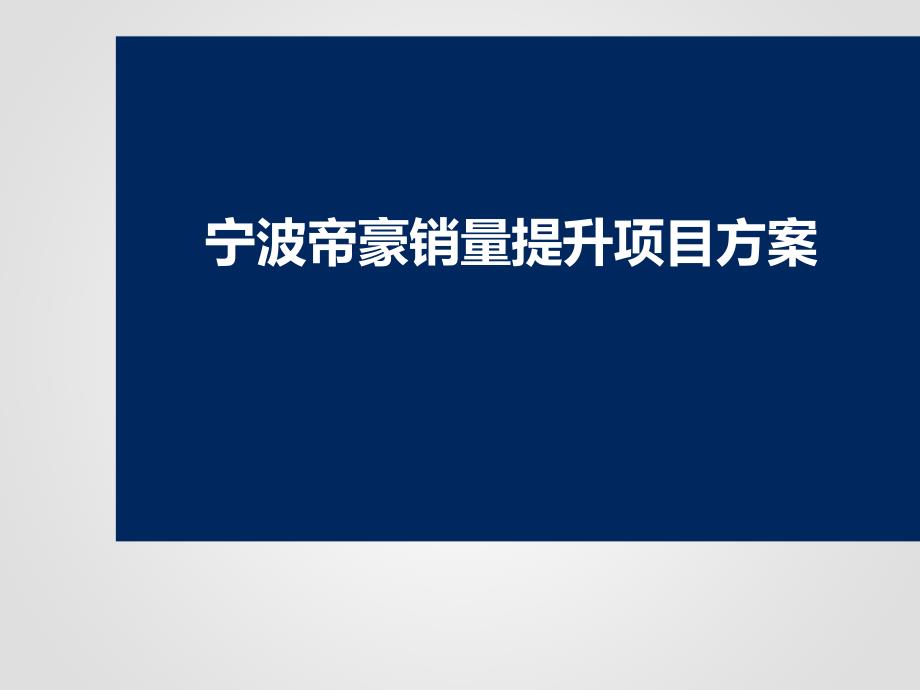 某汽车品牌销量提升项目方案_第1页