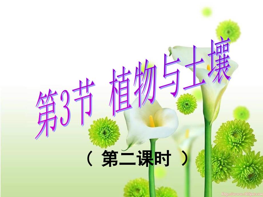 植物与土壤(第2课时)_第1页