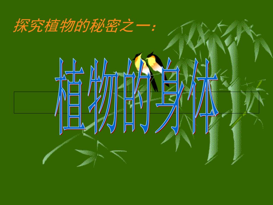 青岛版四年级科学上册植物的身体课件_第1页