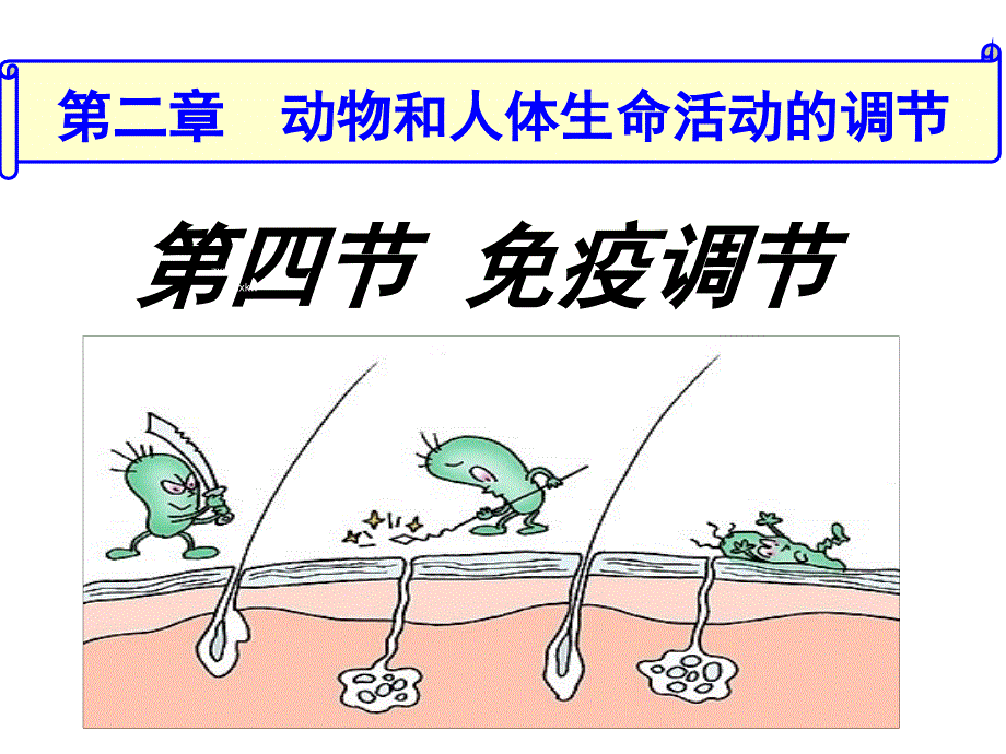 高中生物必修3第2章免疫系统的组成、人体的三道防线_第1页