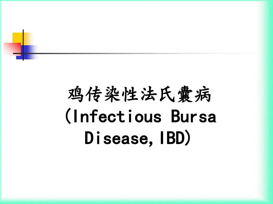 鸡传染性法氏囊病_第1页