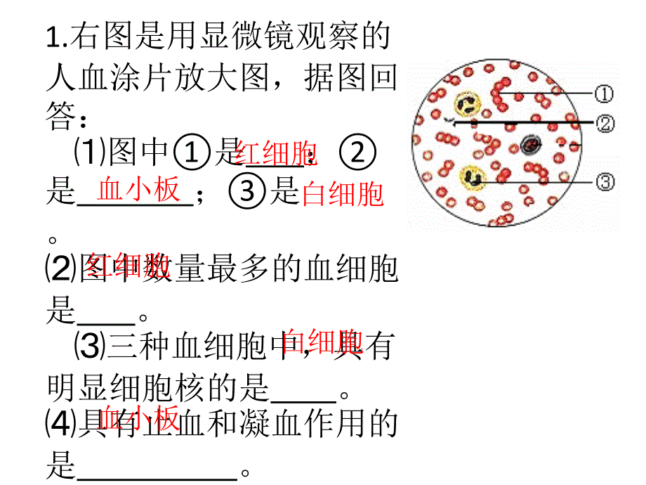 生物中考识图专题训练_第1页