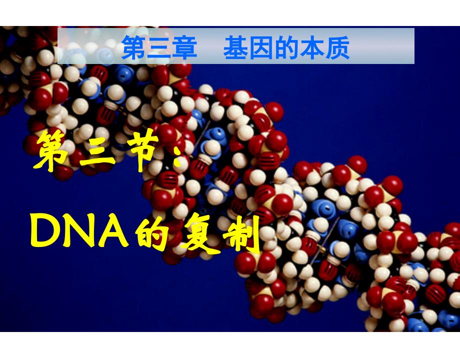 高中生物必修二DNA的复制_第1页