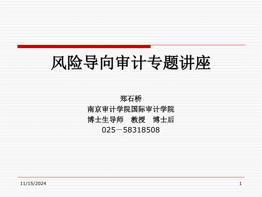 风险导向审计专题讲座政府审计_第1页