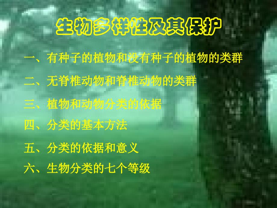 生物的多样性及其保护复习_第1页