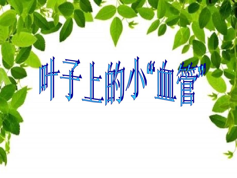 人教版美术二下-《叶子上的小血管》1课件_第1页