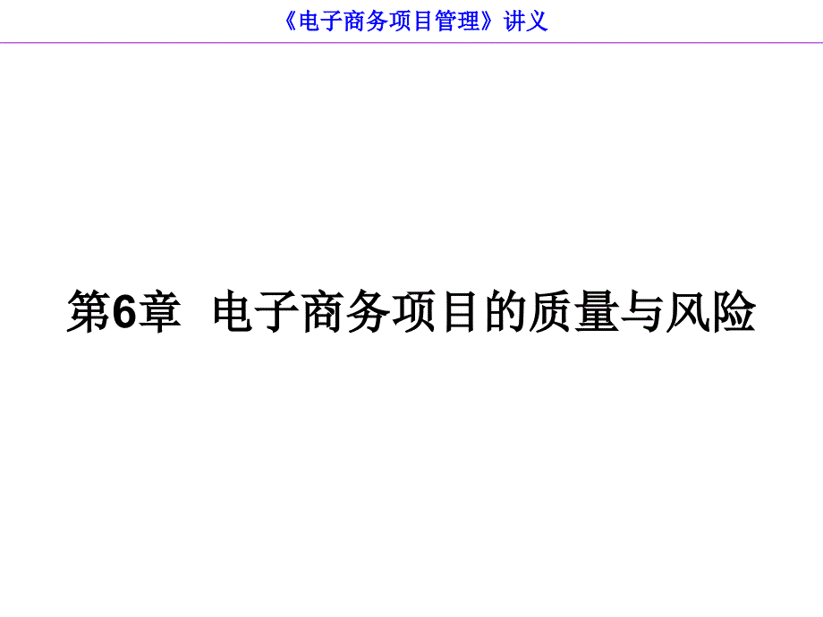 电子商务项目的质量与风险_第1页