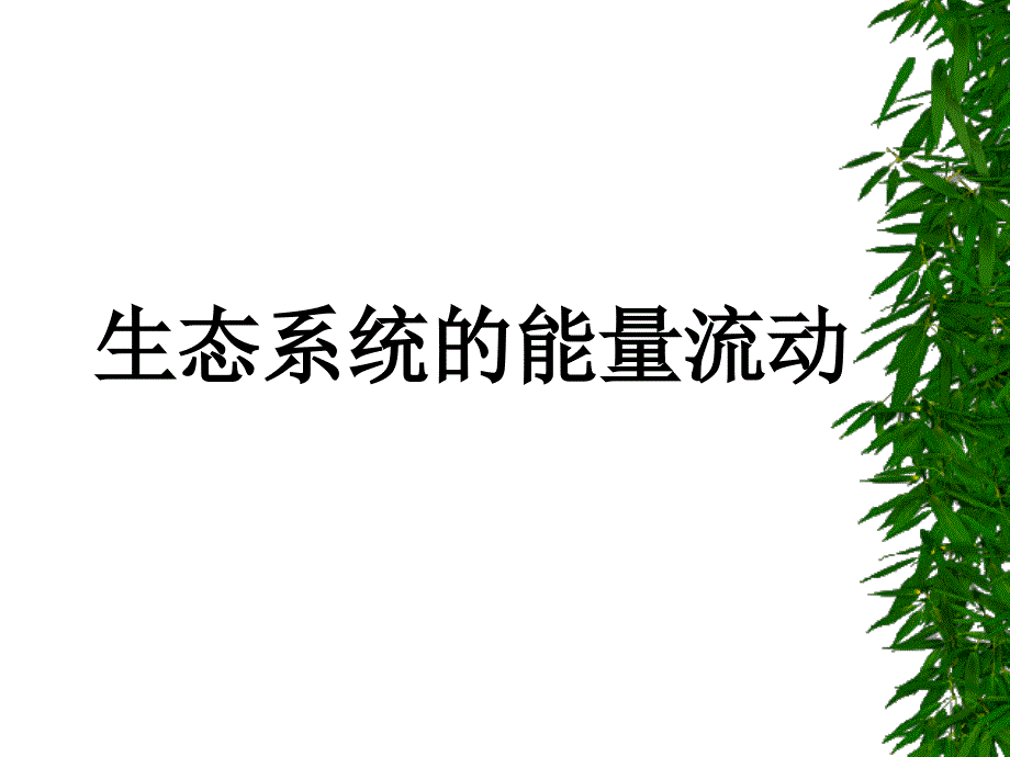 生态系统能量流动_第1页