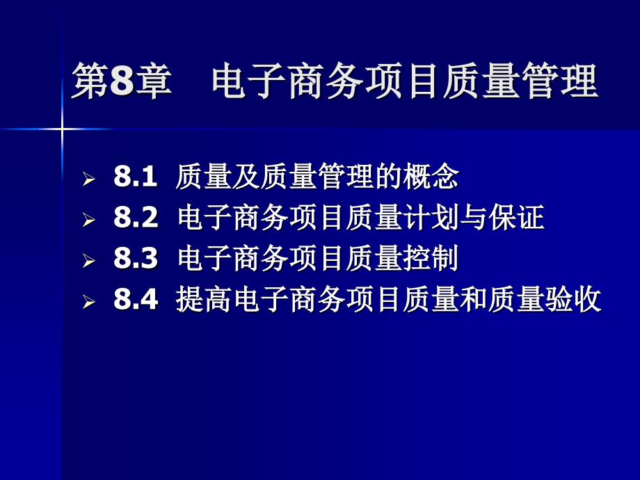 电子商务项目质量管理_第1页