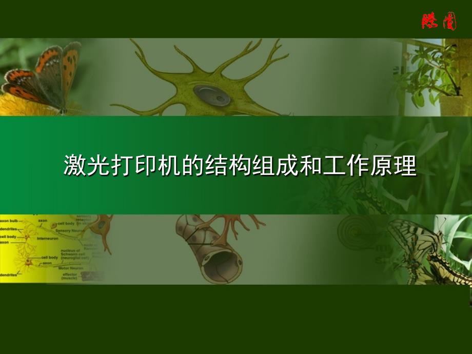 激光打印机的结构组成和工作原理_第1页