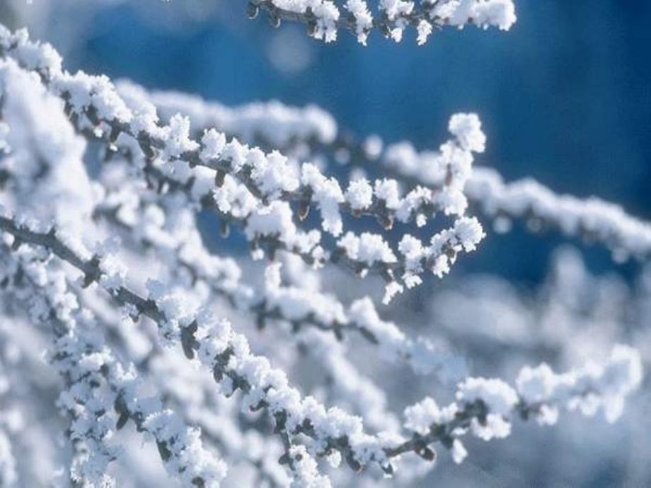 人教版小学一年级语文雪地里的小画家课件(精品)_第1页