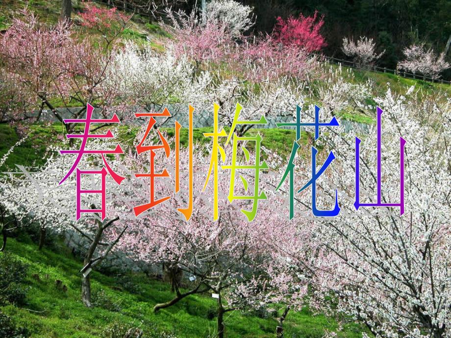 苏教版一年级下册课文4春到梅花山完整版_第1页