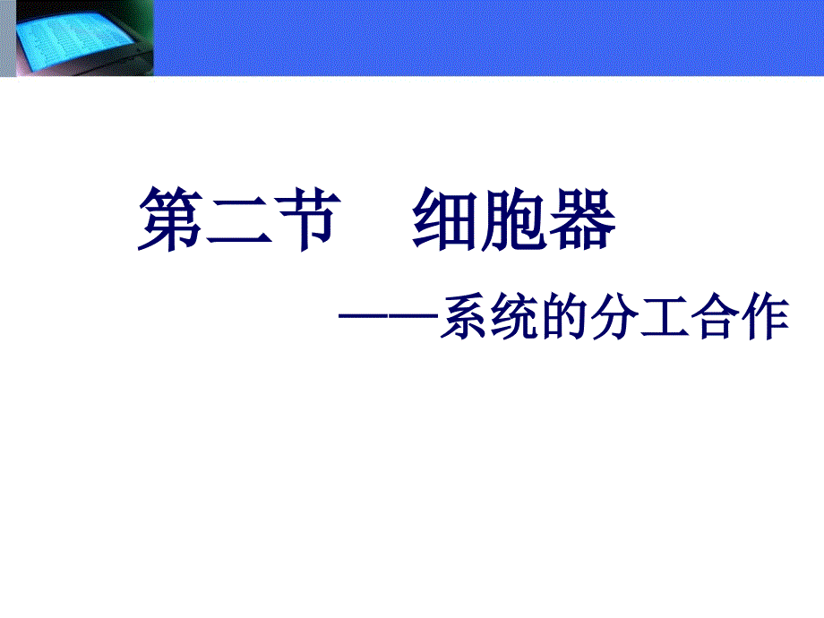 细胞器-系统内的分工合作上_第1页