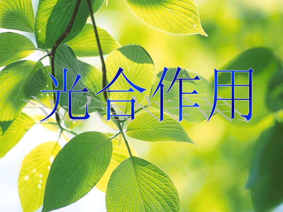 苏教版教学素材高中生物(必修)光合作用_第1页