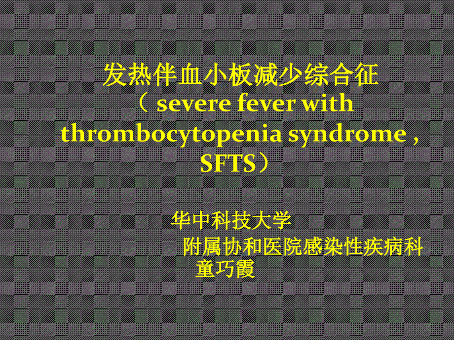 SFS修改后PPT课件_第1页