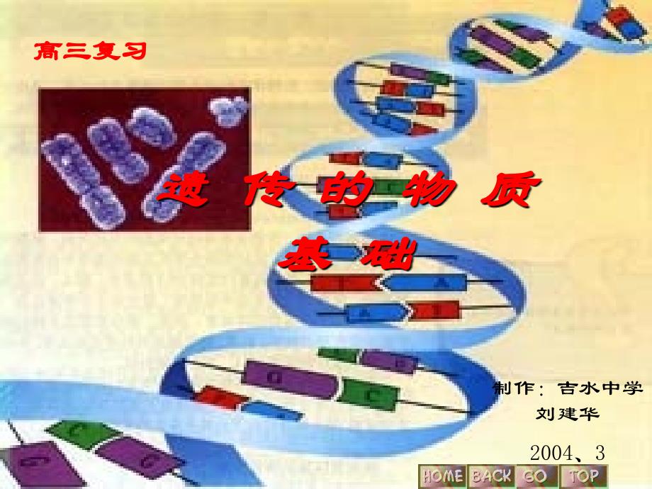 遗传的物质基础(高三复习)_第1页