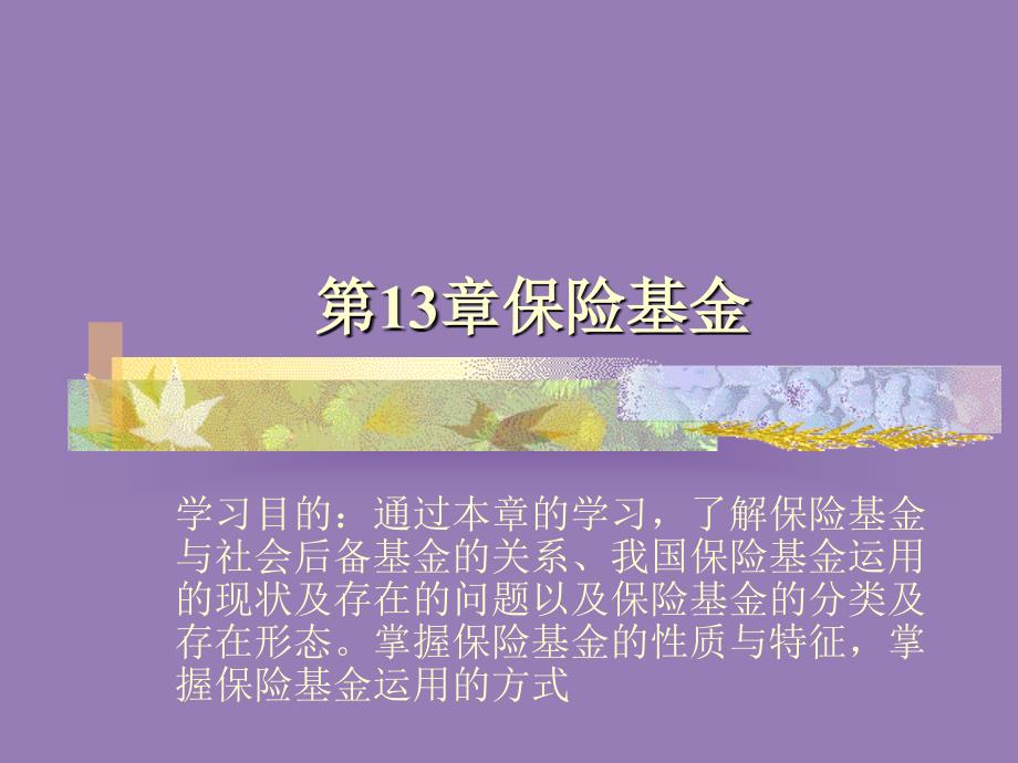 第13章 保险基金_第1页