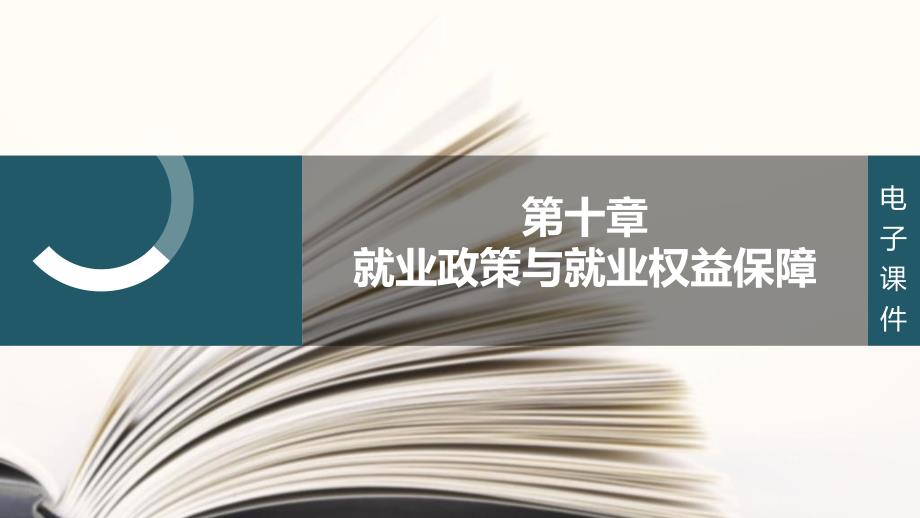 大学生职业生涯规划与就业指导(本科)第十章-就业政策与就业权益保障课件_第1页