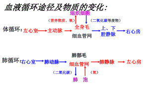 《輸血和血型》公開課課件