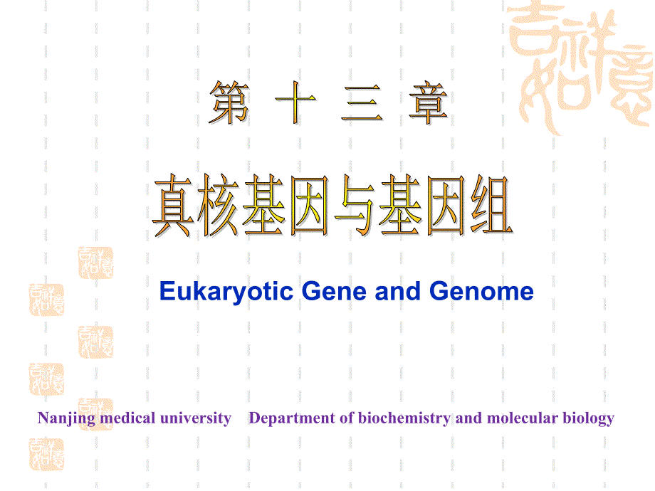 生化第十三章-真核基因与基因组课件_第1页