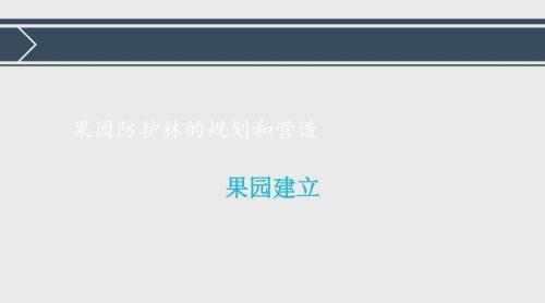 果園防護林的規(guī)劃和營造.ppt