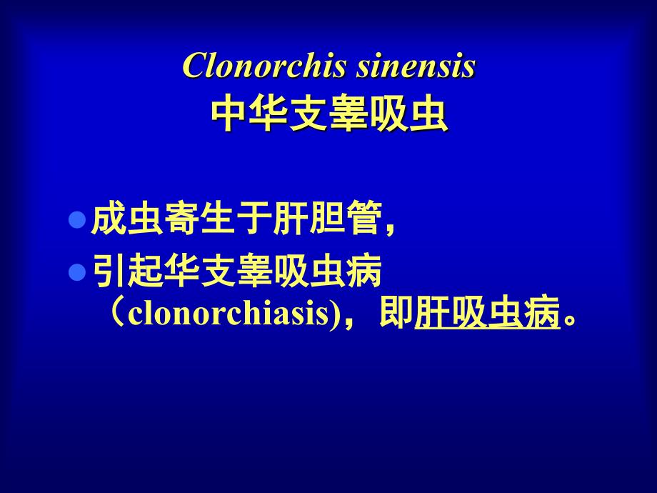 中华支睾吸虫-课件_第1页