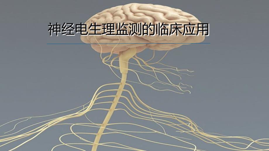 神经电生理监测的临床应用_第1页