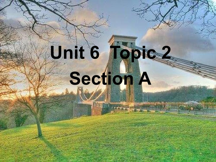 Unit-6-Topic-2-Section-A---英语-九年级-下学期课件_第1页