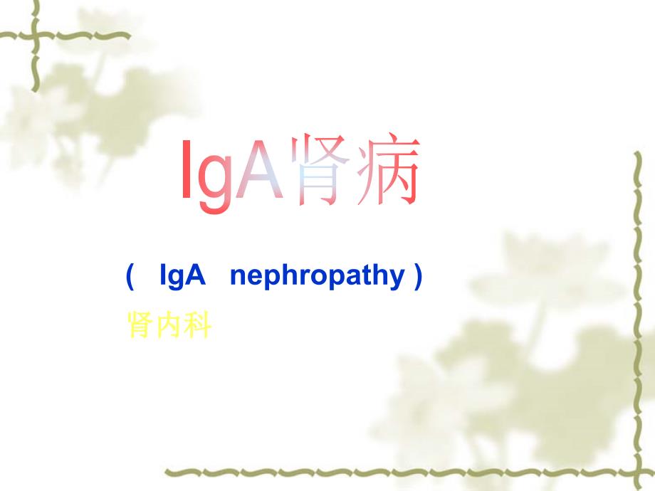 iga肾病---吉林大学【精品】课件_第1页