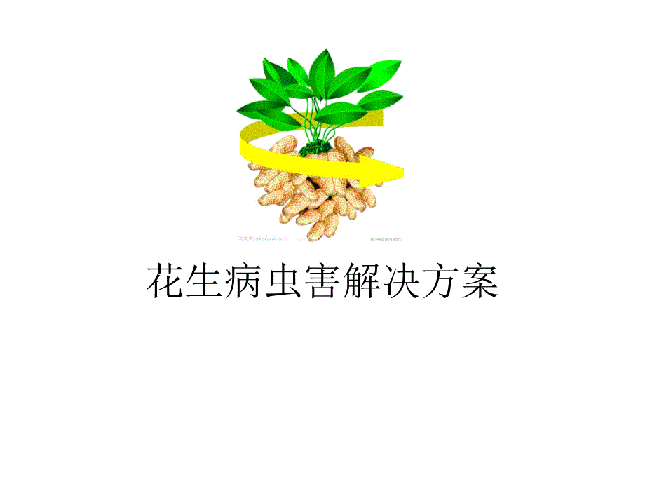 花生病蟲害解決方案_第1頁