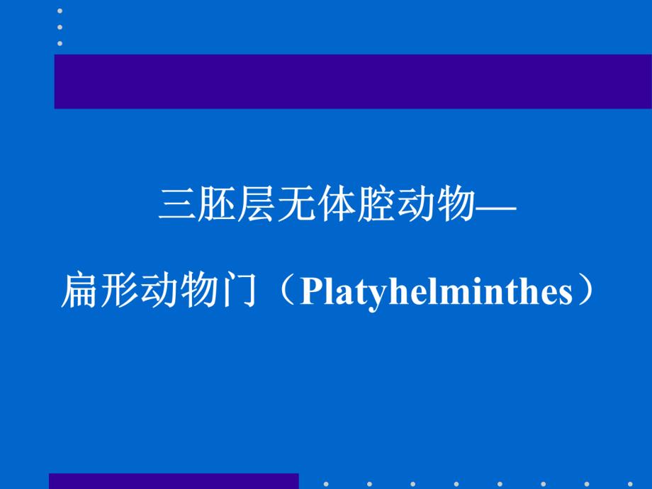 三胚层无体腔动物—扁形动物门-Platyhelminthes课件_第1页