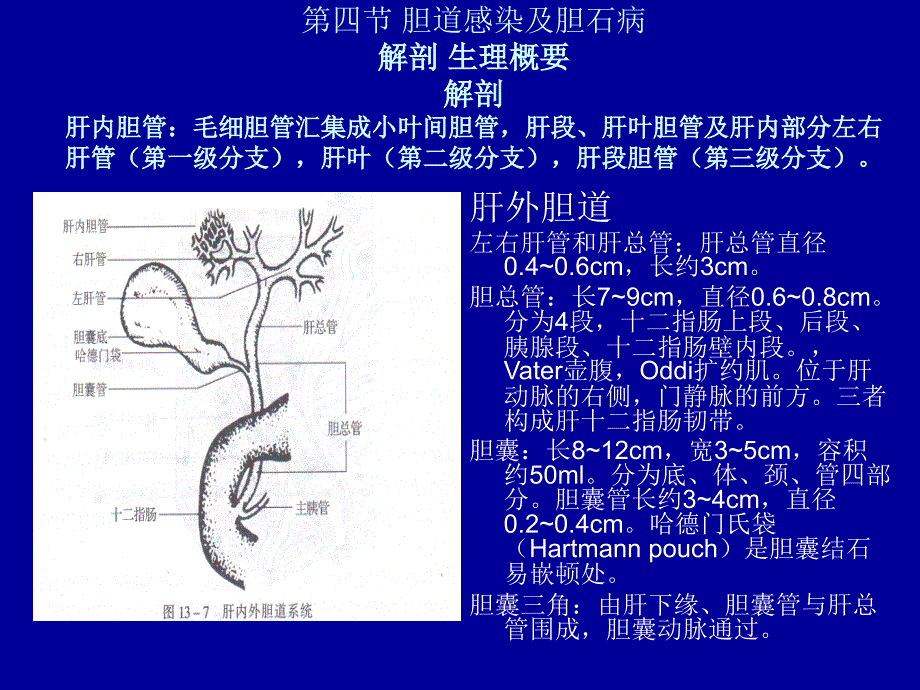 第四节-胆道感染及胆石病课件_第1页