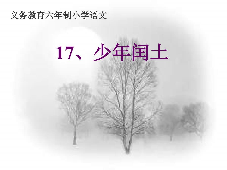 17少年闰土1(教育精品)_第1页