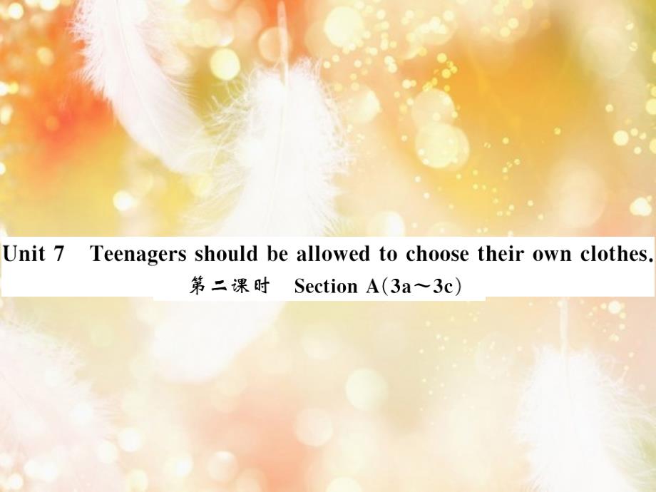 九年级英语全册 Unit 7 Teenagers should be allowed to choose their own clothes（第2课时）习题课件 （新版）人教新目标版_第1页